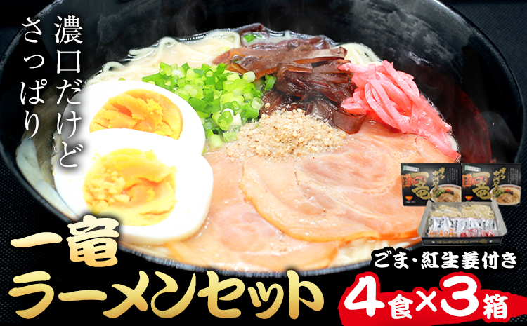 一竜ラーメンセット 合計12食 (4食入×3箱) 株式会社木村食品[90日以内に出荷予定(土日祝除く)]福岡県 小竹町 ラーメン らーめん 麺 スープ付き 送料無料---sc_kmricr_90d_24_11500_12i---