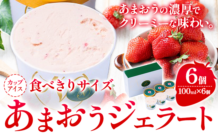 あまおうジェラート 100ml×6個 南国フルーツ株式会社[30日以内に出荷予定(土日祝除く)]福岡県 小竹町 あまおう いちご ジェラート 果物 送料無料---sc_fnngkzt_30d_24_17500_6i---