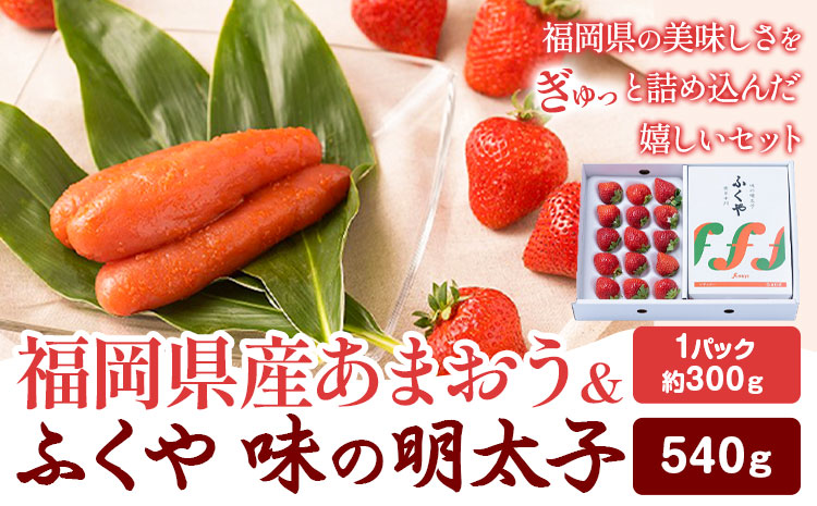 福岡県産あまおうギフト箱 & ふくや味の明太子 540g 南国フルーツ株式会社[1月上旬-3月末頃出荷]福岡県 小竹町 あまおう いちご めんたいこ 明太子 セット 送料無料[配送不可地域あり]---sc_cnngkg_af13_25_31500_540g---