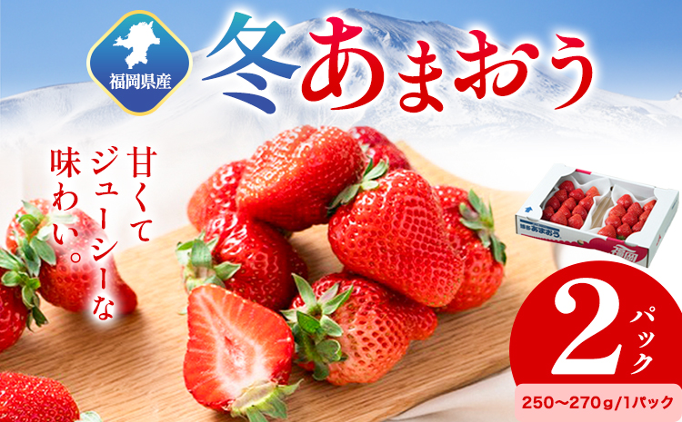 福岡県産 冬あまおう 2パック 南国フルーツ株式会社[12月上旬-1月末頃出荷]福岡県 小竹町 あまおう いちご イチゴ 送料無料[配送不可地域あり]---sc_cnngkam_af12_24_14000_500g---
