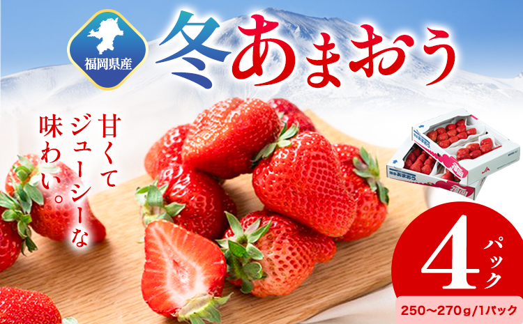 福岡県産 冬あまおう 4パック 南国フルーツ株式会社[12月上旬-1月末頃出荷]福岡県 小竹町 あまおう いちご イチゴ 送料無料[配送不可地域あり]---sc_cnngkam_af12_24_22500_1kg---