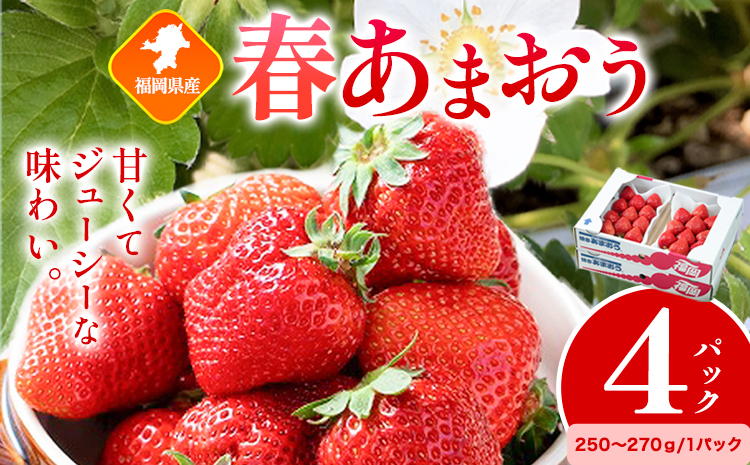 福岡県産 春あまおう 4パック 南国フルーツ株式会社[2月上旬-3月末頃出荷]福岡県 小竹町 あまおう いちご イチゴ 送料無料[配送不可地域あり]---sc_cnngkam_af2_25_14000_1kg---