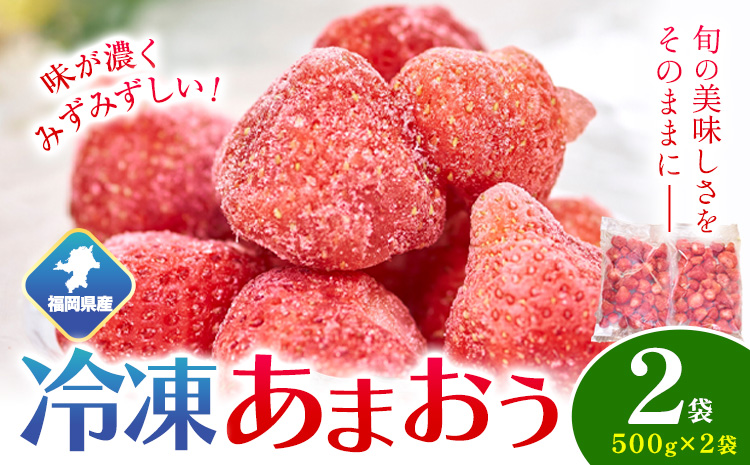 福岡県産 冷凍あまおう1kg(500g×2袋) 南国フルーツ株式会社[12月中旬-3月末頃出荷]福岡県 小竹町 あまおう いちご イチゴ 送料無料[配送不可地域あり]---sc_fnngkam_bc123_24_14500_1kg---