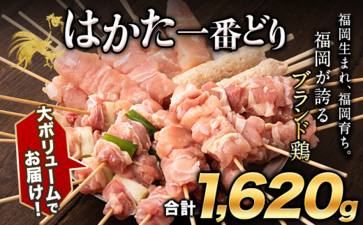 はかた一番どり 焼き鳥セット 1620g 1.62kg 36本入り[1-5営業日以内に出荷予定(土日祝除く)]---fn_fktkbyktr_s_23_12000_1620g--- | 焼鳥焼き鳥鶏肉焼鳥焼き鳥鶏肉焼鳥焼き鳥鶏肉焼鳥焼き鳥鶏肉焼鳥焼き鳥鶏肉焼鳥焼き鳥鶏肉焼鳥焼き鳥鶏肉焼鳥焼き鳥鶏肉焼鳥焼き鳥鶏肉焼鳥焼き鳥鶏肉焼鳥焼き鳥鶏肉焼鳥焼き鳥鶏肉焼鳥焼き鳥鶏肉焼鳥焼き鳥鶏肉焼鳥焼き鳥鶏肉焼鳥焼き鳥鶏肉焼鳥焼き鳥鶏肉焼鳥焼き鳥鶏肉焼鳥焼き鳥鶏肉