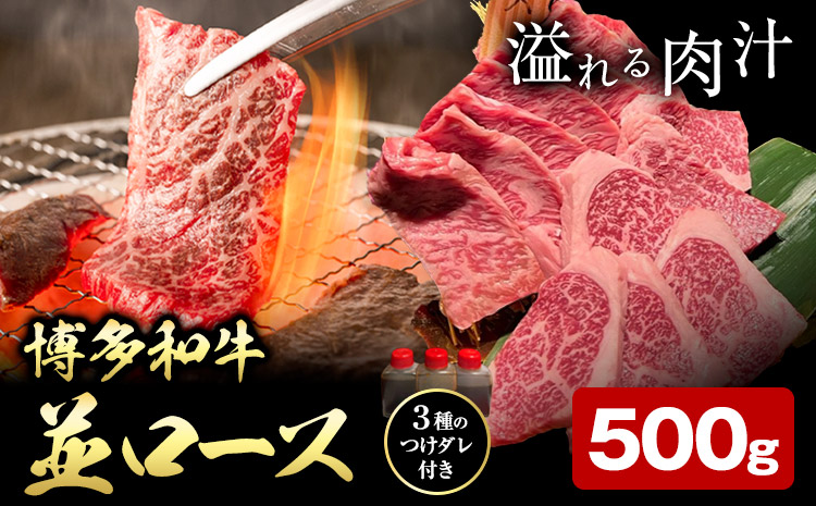 博多和牛 ロース 並 500g 株式会社寛大グループ [30日以内に出荷予定(土日祝除く)] 肉 福岡県 小竹町 にく---skr_fkndinr_30d_24_16500_500g---