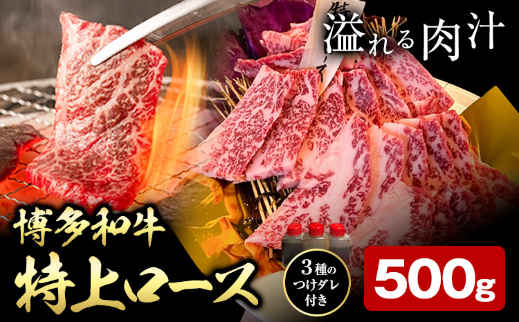 博多和牛 ロース 特上 500g 株式会社寛大グループ [30日以内に出荷予定(土日祝除く)] 肉 福岡県 小竹町 にく---skr_fknditr_30d_24_22500_500g---