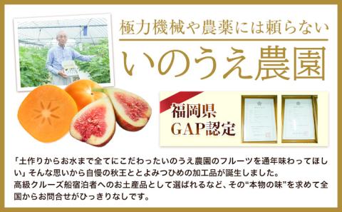 セミドライフルーツ 5袋セット とよみつひめ いのうえ農園 株式会社アジア開発貿易《30日以内に出荷予定(土日祝除く)》---skr_sdft_30d_r7_13000_t---