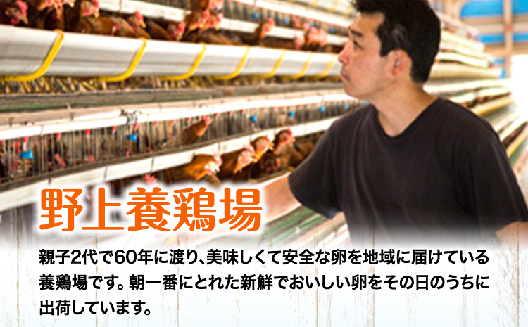 味宝卵使用 卵黄のみ たまご屋さんの濃厚 マヨネーズ 300g 3本 野上養鶏場《60日以内に出荷予定(土日祝除く)》福岡県 鞍手町 味宝卵 卵黄 濃厚 マヨネーズ マヨ サラダ ディップ トースト 万能 調味料---skr_ngmmhrmy_60d_r7_8500_3h---