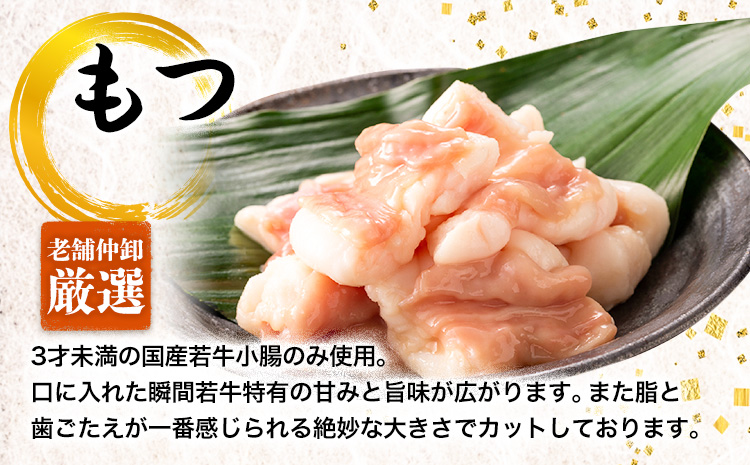 博多菊ひら 厳選国産若牛もつ鍋セット こく味噌味 2人前《30日以内に出荷予定(土日祝除く)》もつ鍋 味噌 牛小腸 もつ 鍋 ちゃんぽん 国産牛 九州---skr_fbsmtkm_30d_r7_11000_2p---