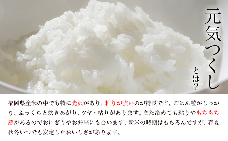 【令和7年度産】元気つくし 3kg 1袋3kg入り わだち農場《30日以内に出荷予定(土日祝除く)》福岡県 鞍手郡 鞍手町 米 コメ 元気つくし 袋 ちらし寿司 こめ---skr_ysmsgtk_30d_25_10500_3kg---