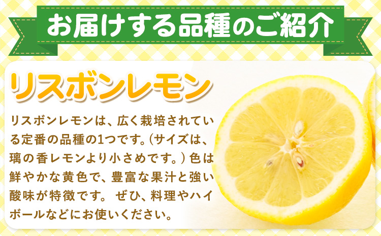 レモン 訳あり 3kg マルセイ株式会社《11月上旬-1月末頃出荷》レモン フルーツ スイーツ くだもの 果物 レモン果汁 ふるさと納税 福岡県 鞍手町---skr_mslm_af111_r7_7000_3kg---