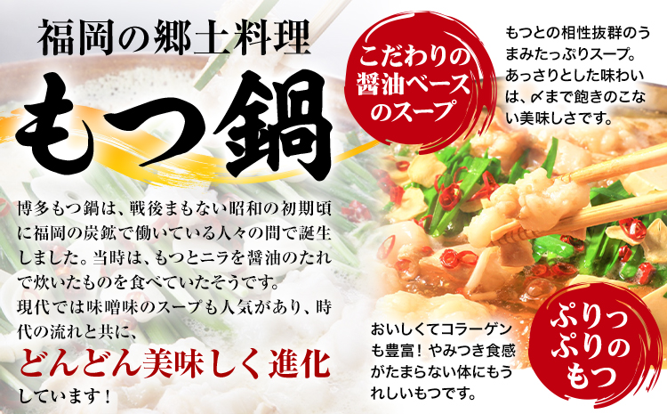 もつ鍋 博多 牛もつ鍋 セット 3-4人前 株式会社木村食品《30日以内に出荷予定(土日祝除く)》福岡県 鞍手郡 鞍手町 牛 牛肉 もつ 鍋 送料無料---skr_fkmrmt_30d_r7_11500_4p---