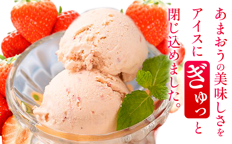 あまおうジェラート 1000ml 南国フルーツ株式会社《4月上旬-4月末頃出荷》福岡県 鞍手町 あまおう いちご ジェラート 果物 送料無料---skr_fnngkzr_ac4_26_13000_1kg---