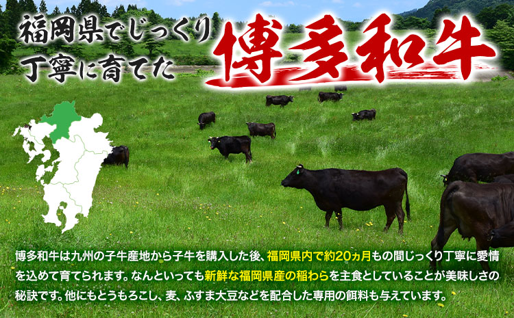 博多和牛モモ・ウデ焼肉用 200g × 2《60日以内に出荷予定(土日祝除く)》牛 牛肉 モモ ウデ 焼肉 和牛 博多 博多和牛 セット 富士商株式会社 送料無料---skr_ffjsyk_60d_r7_18000_400g---