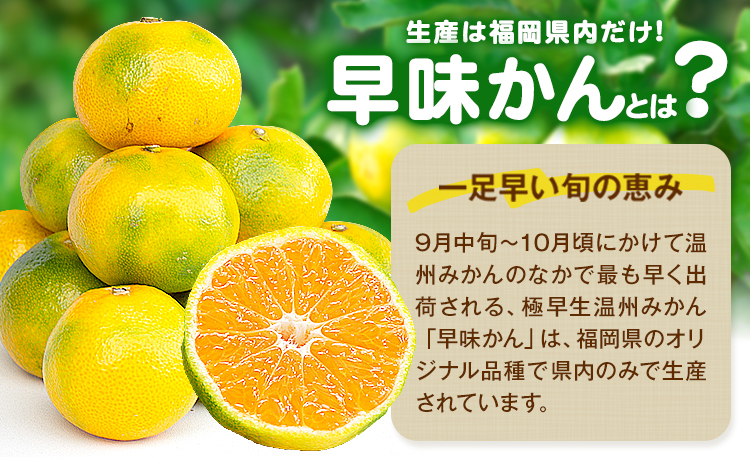 みかん 早味かん 約2kg  南国フルーツ株式会社【26年度出荷】《9月中旬-9月下旬頃出荷》福岡県 鞍手町 福岡県産 みかん 早味かん フルーツ 果物---skr_nngkw_b9_25_11500_2kg---