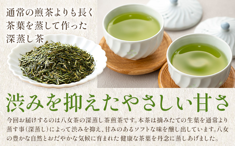八女茶 深蒸し 茶煎茶 100g 株式会社ＪＳＥ《30日以内に出荷予定(土日祝除く)》福岡県 鞍手郡 鞍手町 お茶 煎茶 深蒸し茶 お茶 茶葉 お茶の葉 お茶葉 煎茶 国産 日本茶 飲物 飲み物 飲みもの のみもの---iskr_jseumkc_30d_25_4000_100g---