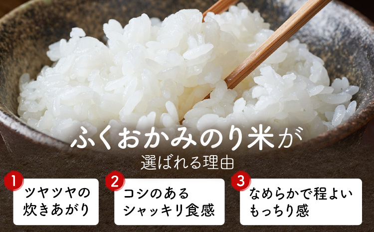 ふくおかみのり米 5kg 白米 《11月中旬-12月末頃出荷開始》 お米 ごはん ご飯 rice kome---kr_hmnrh_bc11_25_11000_5kg---