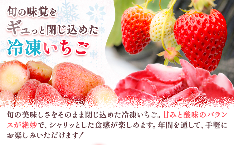 冷凍 あまおう 約2kg 《90日以内に出荷予定(土日祝除く)》福岡県 鞍手郡 鞍手町 いちご あまおう フルーツ 果物 冷凍---skr_ffsra_90d_26_14500_2kg---
