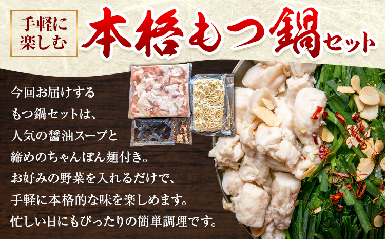 精肉店の もつ鍋 セット ちゃんぽん麵 2～3人前 地域商社ふるさぽ《90日以内に出荷予定(土日祝除く)》福岡県 鞍手町 もつ 鍋 牛モツ 醤油---skr_ffssinkm_90d_26_13500_ss---