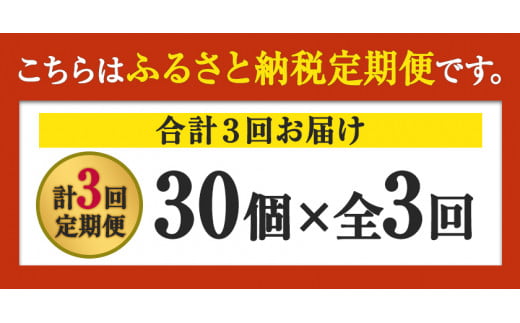 【定期便】計3回お届け 朝獲れ卵 味宝卵30個×3回お届け 卵 Lサイズ：鶏卵 《お申込み月の翌月より出荷開始》---iskr_ngmmhrtei_r7_22000_mo3num1---