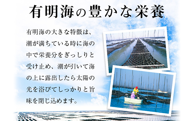 有明海産 焼のり 焼き海苔 ボトル 4本セット 10切100枚 合計400枚 送料無料 《30日以内に順次出荷(土日祝除く)》福岡県 鞍手郡 鞍手町 たっぷり 大容量 親和園 のり 海苔---skr_araknr_30d_r7_10500_4i---