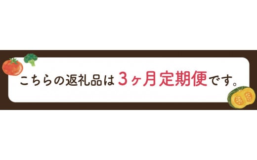 【3ヶ月定期便】ひだまりとアンダンテセット 全3回《お申込みの翌月より出荷》 花田農園 野菜スープ トマト ブロッコリー---skr_fhndsptei_r7_45000_mo3num1---