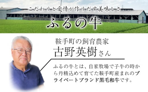 ふるの牛 頒布会 計2kg以上 全6回《お申込み月の翌月から出荷開始》ふるの牛 サーロインステーキ定期便 ---skr_fhrntei_r7_200000_mo6num1---