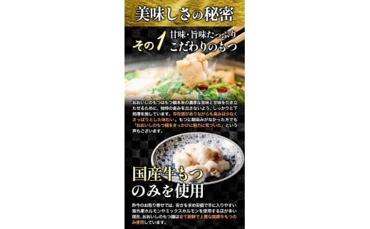 牛もつ鍋 おおいし 博多もつ鍋 味噌味 2~3人前 《30日以内に出荷予定(土日祝除く)》 株式会社大石  国産牛---skr_foismt_30d_25_18000_1s---