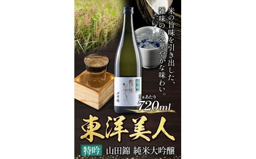 日本酒 新酒 東洋美人 特吟 山田錦 純米大吟醸 720ml 1本 福岡吟醸倶楽部株式会社《30日以内に出荷予定(土日祝除く)》---skr_gntybjn_30d_r7_11500_720ml---