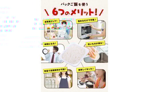 令和7年度産 夢つくし パックご飯 48パック 24パック×2箱《30日以内に出荷予定(土日祝除く)》 ---skr_hfbymgp_30d_25_24500_48p---