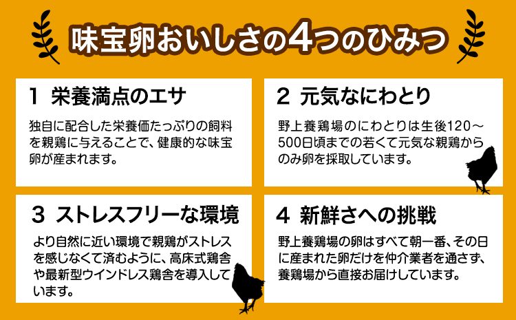 味宝卵使用 卵黄のみ たまご屋さんの濃厚 マヨネーズ 300g 2本 野上養鶏場《60日以内に出荷予定(土日祝除く)》福岡県 鞍手町 味宝卵 卵黄 濃厚 マヨネーズ マヨ サラダ ディップ トースト 万能 調味料---skr_ngmmhrmy_60d_r7_7000_2h---