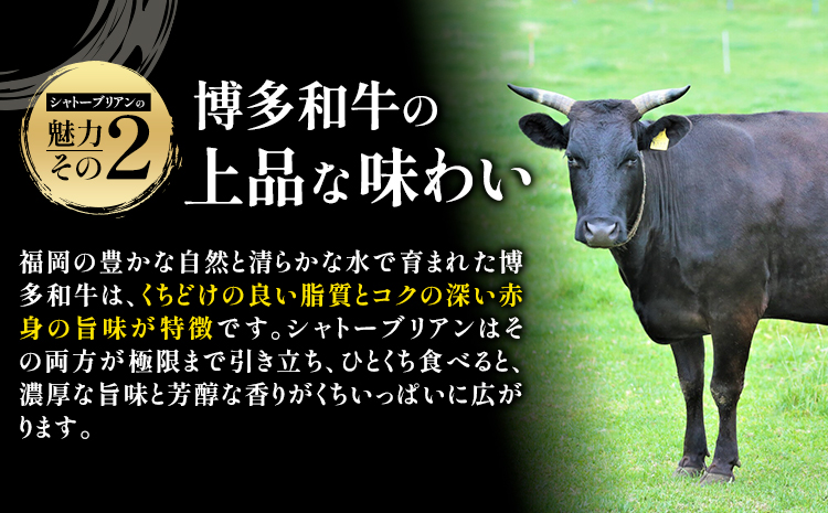 牛肉 博多和牛 シャトーブリアン 1kg 株式会社エム・ケイ食品【配送不可地域あり】《2月上旬-3月末頃出荷》肉 牛肉---skr_cmkctb_af2_100000_1kg---
