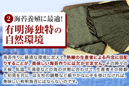 海苔 訳あり 福岡有明のり 簡易包装 福岡産 有明海 全型10枚 送料無料 パリパリ！《45日以内に順次出荷(土日祝除く)》 ｜ 絶品海苔 ブランド海苔 福岡海苔 有明海苔 国産海苔 ---fn_arakckr_45d_25_2500_10p---