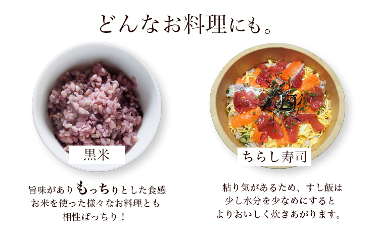 【令和7年度産】元気つくし 3kg 1袋3kg入り わだち農場《30日以内に出荷予定(土日祝除く)》福岡県 鞍手郡 鞍手町 米 コメ 元気つくし 袋 ちらし寿司 こめ---skr_ysmsgtk_30d_25_10500_3kg---
