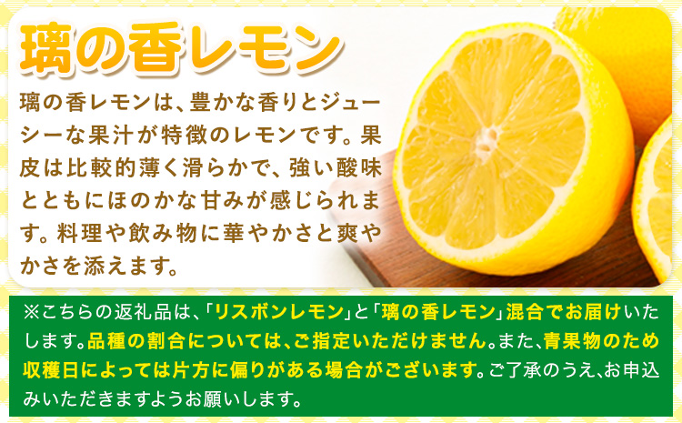 レモン 訳あり 3kg マルセイ株式会社《11月上旬-1月末頃出荷》レモン フルーツ スイーツ くだもの 果物 レモン果汁 ふるさと納税 福岡県 鞍手町---skr_mslm_af111_r7_7000_3kg---