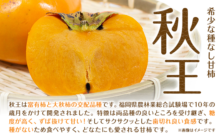 ☆2026年出荷☆ 秋王 約1.7kg《11月上旬-11月末頃出荷》福岡県 鞍手郡 鞍手町 柿 かき カキ 種なし 種無し 福岡県産 果物 くだもの フルーツ 【配送不可地域あり】---iskr_clfkao_ac11_26_12500_1700g---