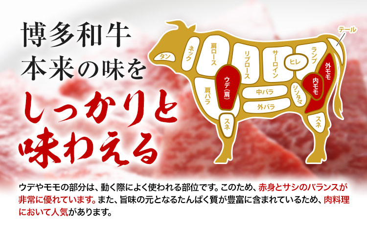 博多和牛モモ・ウデ焼肉用 200g × 2《60日以内に出荷予定(土日祝除く)》牛 牛肉 モモ ウデ 焼肉 和牛 博多 博多和牛 セット 富士商株式会社 送料無料---skr_ffjsyk_60d_r7_18000_400g---