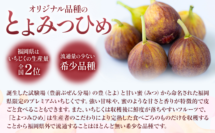 いちじく 無花果 とよみつひめ 約1.2kg 約300g × 4パック 南国フルーツ株式会社【26年度出荷】《8月上旬-10月中旬頃出荷》福岡県 鞍手町 福岡県産 いちじく フルーツ 果物---skr_cnngkt_ae810_26_13000_4p---
