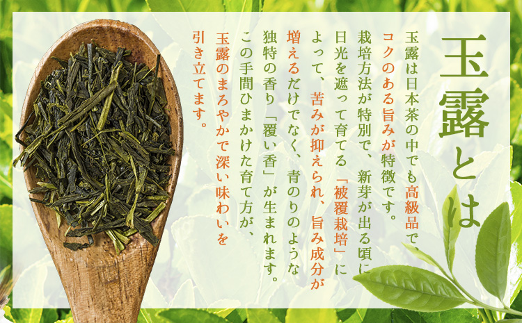 玉露 入り 水出し 緑茶 20パック×1袋 《30日以内に出荷予定(土日祝除く)》 福岡県 鞍手町 お茶 茶 送料無料---skr_lfkgk_30d_25_4000_20p---