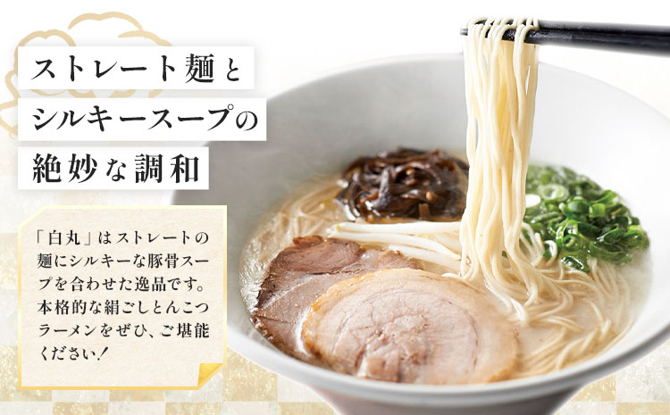 ラーメン 一風堂 白丸 ラー麦麺 セット 6食 地域商社ふるさぽ《90日以内に出荷予定(土日祝除く)》福岡県 鞍手町 ラーメン とんこつ 豚骨スープ 豚骨ラーメン ラー麦 麺---skr_fsipdr_90d_26_10000_6s---