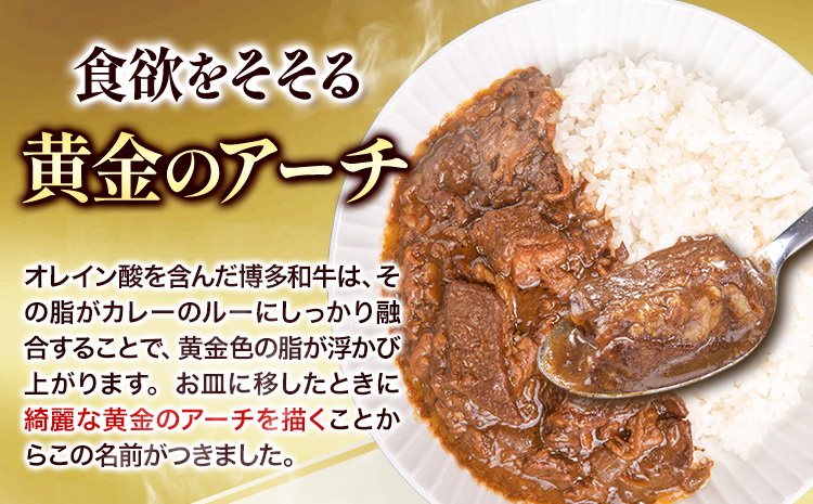 博多和牛の黄金カレー 200g×5食 清柳食産《30日以内に出荷予定(土日祝除く)》九州産 牛 カレー 黄金カレー---skr_fsruhkri_30d_r7_13000_5i---