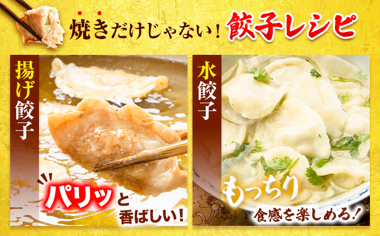 餃子 冷凍 博多和牛 手作り 80個 20個 × 4パック 清柳食産《30日以内に出荷予定(土日祝除く)》九州産---skr_fsrtdkrgz_30d_r7_13000_80i---