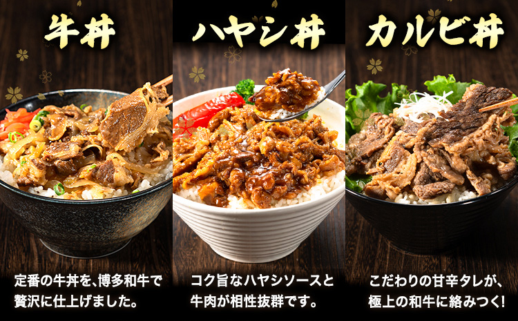 博多和牛 牛丼 ハヤシ丼 カルビ丼 丼ものセット各 200g x 1パック 600g 清柳食産《30日以内に出荷予定(土日祝除く)》---skr_fdonmn_30d_r7_13000_600g---