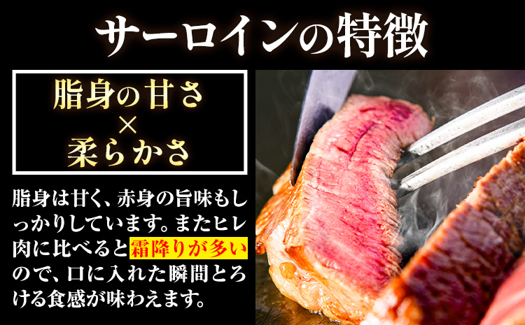 博多和牛 サーロインステーキ 600g（300g×2枚）株式会社エム・ケイ食品《30日以内に出荷予定(土日祝除く)》福岡県 鞍手郡 鞍手町 ステーキ 肉 黒毛和牛 サーロイン 牛肉 牛---skr_fmksri_30d_r7_21500_600g---
