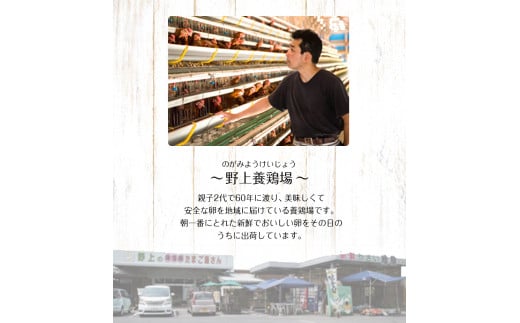 朝獲れ卵 味宝卵 (30個) 卵 Lサイズ： 鶏卵《90日以内に出荷予定(土日祝除く)》---iskr_ngmmihoran_90d_r7_8000_30p---