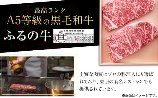 【3ヶ月定期便】ふるの牛 特選サーロインステーキ 750g(250g×3枚) 有限会社ふるの《お申込み月の翌月から出荷開始》---skr_fhrnsttei_r7_150000_mo3num1---