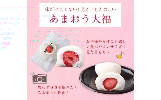 至福 あまおう 大福 8個セット 北九食品株式会社 《30日以内に出荷予定(土日祝除く)》---skr_fktkamaodai_30d_r7_13000_8i---