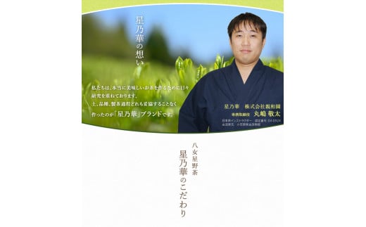訳あり品 八女星野茶 深蒸し茶1100g 株式会社親和園《30日以内に出荷予定(土日祝除く)》 お茶 緑茶 茶 八女星野茶---skr_snwyetya_30d_r7_10000_1100g---