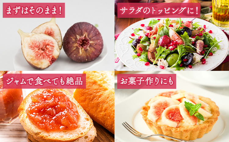 いちじく 無花果 とよみつひめ 280g×4パック《8月中旬-10月中旬頃出荷》福岡県 鞍手町 福岡県産 いちじく フルーツ 果物---skr_ctymt_26_q810_9000_1120g---
