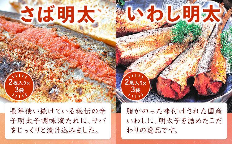 明太づくし Aセット 株式会社マル五 《30日以内に出荷予定(土日祝除く)》 明太子 数の子 イカ いか サバ さば 鯖 イワシ いわし 鰯 博多 辛子明太子 九州 名物---skr_fmntia_30d_r7_19500_4p---